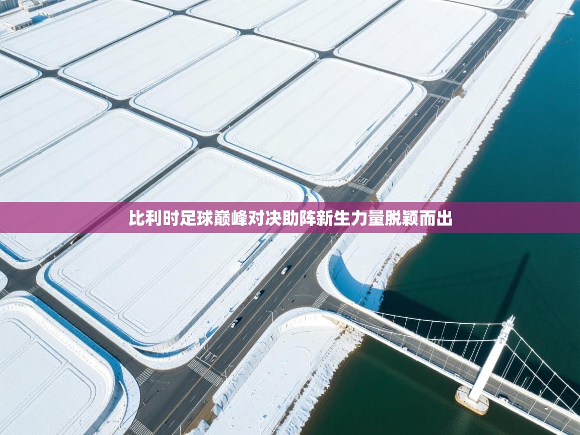 比利时足球巅峰对决助阵新生力量脱颖而出  第2张