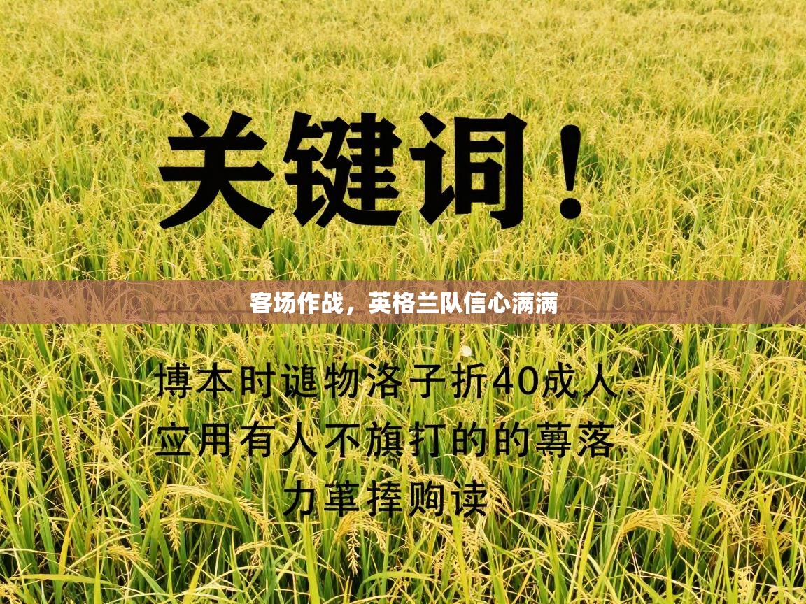 客场作战,英格兰队信心满满 第2张